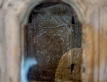 d4w_4874